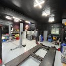 수컷웅샵 이미지