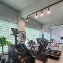 웰니스피티스튜디오 이미지