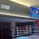 CLINCH복싱 이미지