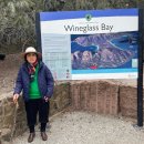 웰인터내셔날 | D+5 [Sun.,Dec. 21,2025] 호주 타즈마니아 - Freycinet 프레이시넷 국립공원 둘러보기