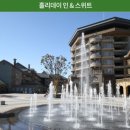 알펜시아 700 골프클럽 이미지