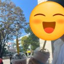 [강릉 여행] 당일치기 강릉여행! 해수욕 맛집 카페 투어 | 소돌해변, 소돌막국수, 초당밀