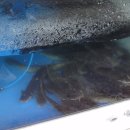 청운회관 이미지