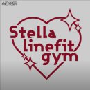 스텔라인핏 이미지