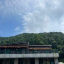 청강수반딧불이민박 이미지