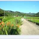 속리산둘레길 보은길3 이미지