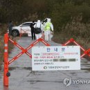 고니농장 연합뉴스