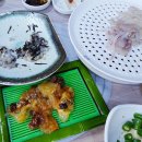 금보 티스토리