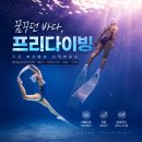 부산 프리다이빙 워터붐 AIDA 교육 후기, 레벨1 여기서 배워야