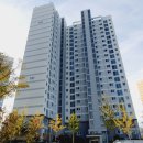 천년나무7단지 앞 이미지