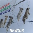 현대농장(2호) 이미지