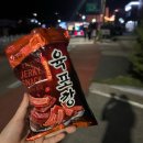 용화푸드 | 삼척 여행 추천 : 물맑고 물고기 많은 스노쿨링맛집 ‘용화방파제’ (꿀팁, 대여, 수심)