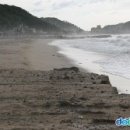 후포보건진료소 이미지