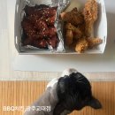 비비큐(BBQ)광주교대점 이미지