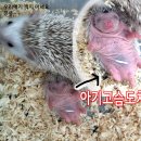 작은동물원수족관 이미지