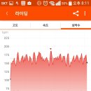 토소몰