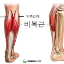 그린짐 이미지