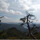 무념(無念) 이미지