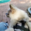 범물근린공원 이미지