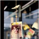 바우하우스 스튜디오 이미지