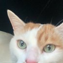 두류동물병원 이미지