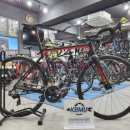 에이스전문정비세차 이미지