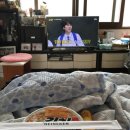 아호모터스 이미지