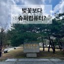 한국지질자원연구원 지질박물관 | 대전 지질박물관 다녀온 주말, KAIST 벚꽃 산책까지 아이와 과학 나들이