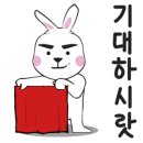 마스터 홍 태권도 네이버블로그