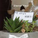 에떼르넬 캔들 이미지