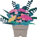 비바아이엘츠(IELTS)어학원