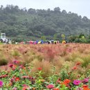 전곡시장 이미지