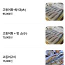 미영이네 | 제주도 인생 고등어회 찐맛집 [미영이네 조천점] 포장 예약 후기(내돈내산)