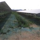 신흥리태양광발전소 이미지