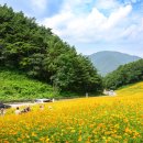 청정휴식공원 이미지