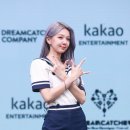 다미 이미지