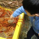 속초관광수산시장 주차장 1 이미지