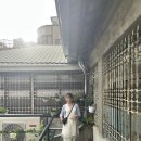 [10.대만 가오슝] 빈티지한 분위기의 히후미테이 서점카페 '일이삼정' 후기