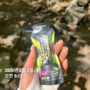 렛츠클린업 | [다시어터의 삶] 260505 13시간55분단식_어른이날 등산⛰️👍🏻