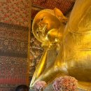 맑은시암풍경소리 | 11월 방콕여행(3) 왓포, 오큘런스 디너크루즈, 아이콘시암, 방콕 BTS