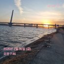 자연에서 얻은 참다운 삶 | 스피큘세럼 추천 버블마스크팩추천 쿰쿠라 후기