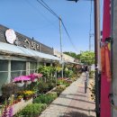 천호대로(남측) | 트레일 서울 157K 3코스 고덕일자산 완주│코스 이탈 방지 팁, 서울둘레길 트레일러닝 3-3 → 3-2코스...