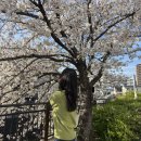 (주)하이네트웍 | [일본 교환학생 2주차] 썰들이 많이 생성되어서 행복하네요