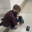 시농 이미지