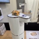 놀면묘하냥 고양이카페 | 은평구 데이트코스 예쁜 고양이들이 많이 있는 고양이카페 놀면묘하냥 단독룸 후기