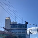 통영거북선호텔 | [국내/통영] 통영 미수동 거북선호텔 2인실, 4인실 이용 후기(무료 조식)