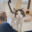 잔다냥 천안점 이미지