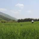 강주농장 이미지