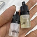 벨르오도르 네이버블로그