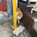 선부고 앞 이미지